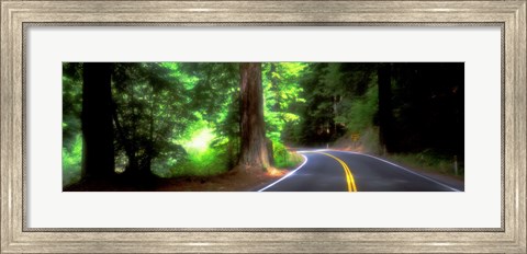 Framed Road, Redwoods, Mendocino County, California, USA Print