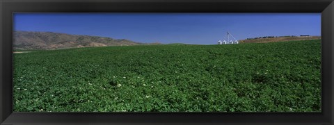 Framed USA, Idaho, Burley, Potato field surrounded by mountains Print