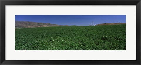 Framed USA, Idaho, Burley, Potato field surrounded by mountains Print