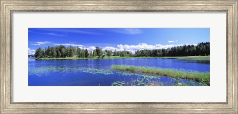 Framed Lakelands, Finland Print