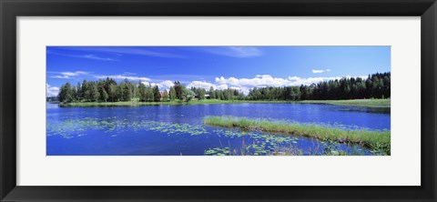 Framed Lakelands, Finland Print