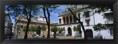 Framed Trees in front of buildings, Convento San Leandro, Plaza Pilatos, Seville, Spain Print