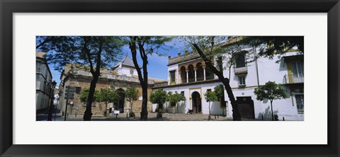 Framed Trees in front of buildings, Convento San Leandro, Plaza Pilatos, Seville, Spain Print