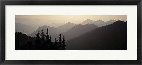 Framed Mount Rainier National Park WA USA Print