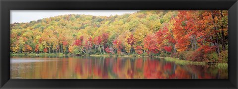 Framed Savoy Mountain State Forest, Massachusetts, USA Print