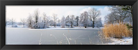 Framed Snow covered trees near a lake, Lake Schubelweiher Kusnacht, Zurich, Switzerland Print