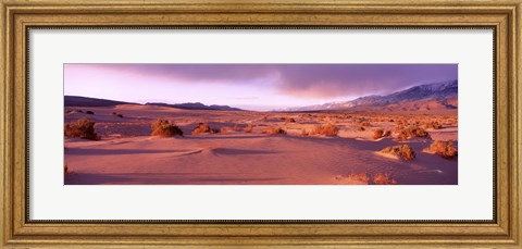 Framed Olancha Sand Dunes, Olancha, California, USA Print