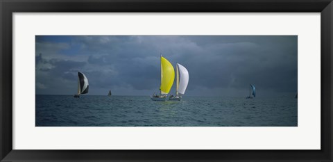 Framed Sailboat race Key West, Florida Print