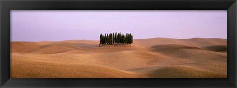 Framed Trees on a rolling landscape, Tuscany, Italy Print