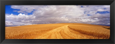 Framed Wheat Field, Washington State, USA Print