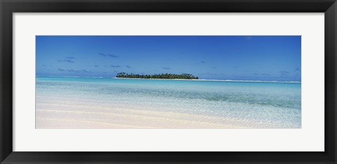 Framed Maina, Cook Islands Print