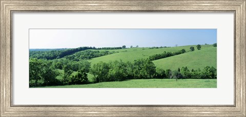 Framed Horse Farm, Kentucky, USA Print