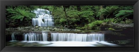 Framed Liffey Falls, Tasmania, Australia Print