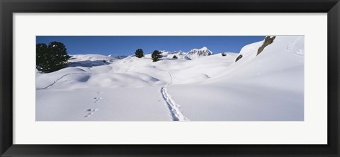 Framed Footprints on a snow covered landscape, Alps, Riederalp, Valais Canton, Switzerland Print