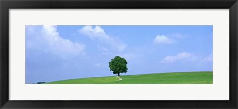 Framed Lone Tree on Hilltop Salzkammergut Austria Print