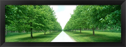 Framed Avenue at Chateau de Modave Ardennes Belgium Print