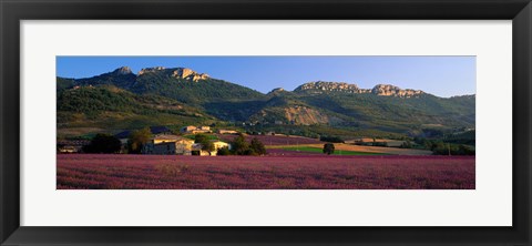 Framed Lavender Fields And Farms, High Provence, La Drome, France Print