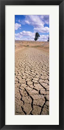 Framed Drought, Australia Print