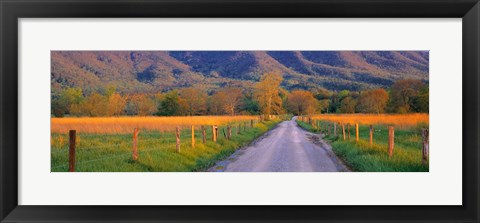 Framed Road At Sundown, Cades Cove, Great Smoky Mountains National Park, Tennessee, USA Print