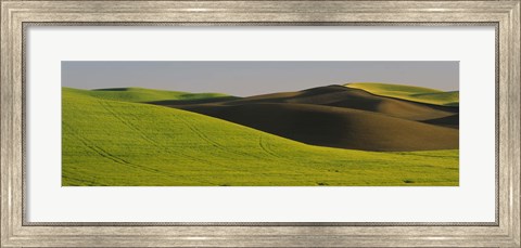 Framed Wheat Field On A Landscape, Whitman County, Washington State, USA Print