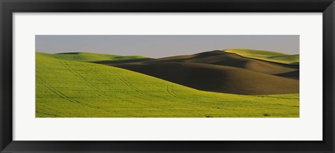 Framed Wheat Field On A Landscape, Whitman County, Washington State, USA Print