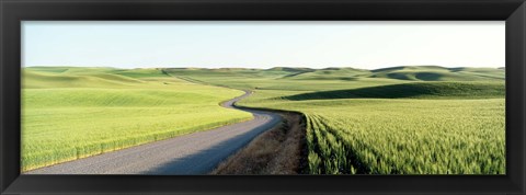 Framed Gravel Road Through Barley and Wheat Fields WA Print