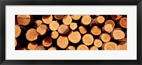 Framed Logs Print