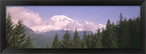 Framed Mt Ranier Mt Ranier National Park WA Print