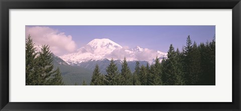 Framed Mt Ranier Mt Ranier National Park WA Print