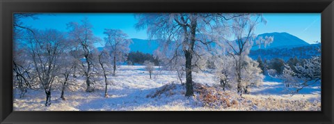 Framed Trossachs National Park, Scotland, United Kingdom Print