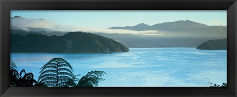 Framed Kenepuru, Marlborough Sound, New Zealand Print