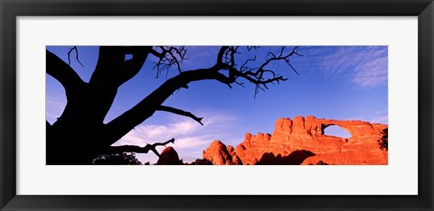 Framed Skyline Arch, Arches National Park, Utah, USA Print