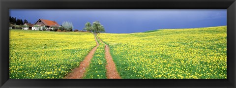 Framed Dirt road passing through a field, Germany Print