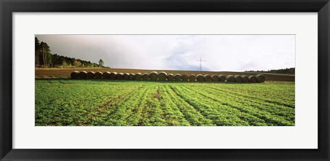 Framed Hay bales in a farm land, Germany Print