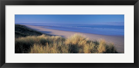 Framed Tall grass on the coastline, Saunton, North Devon, England Print