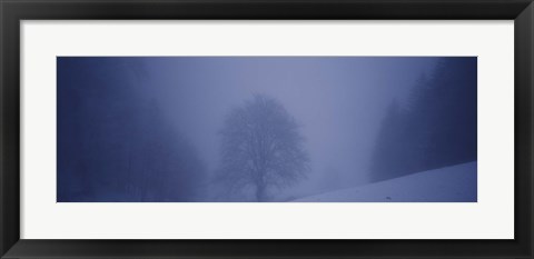 Framed Trees on a snow covered landscape, Schauinsland, Germany Print