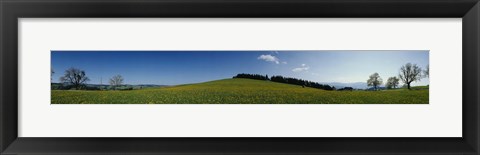 Framed Panoramic view of a landscape, St. Peter, Lindenberg, Black Forest, Germany Print