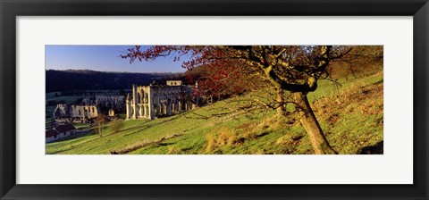 Framed Church On A Landscape, Rievaulx Abbey, North Yorkshire, England, United Kingdom Print