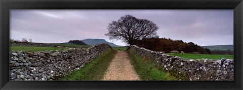 Framed Stone Walls Along A Path, Yorkshire Dales, England, United Kingdom Print