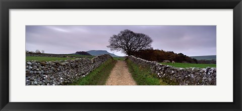 Framed Stone Walls Along A Path, Yorkshire Dales, England, United Kingdom Print