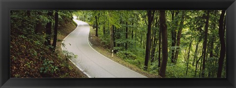 Framed Empty road running through a forest, Stuttgart, Baden-Wurttemberg, Germany Print