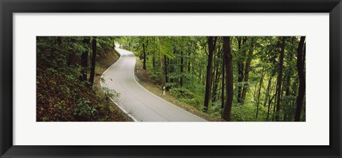 Framed Empty road running through a forest, Stuttgart, Baden-Wurttemberg, Germany Print