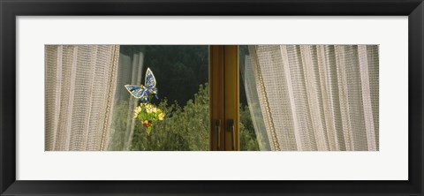 Framed Close-Up Of Flowers And A Butterfly Painted On A Window, Germany Print