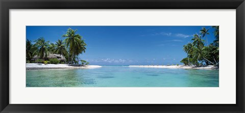 Framed Palm trees on the beach, Tikehau, French Polynesia Print