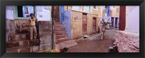 Framed Boy and a bull in front of building, Jodhpur, Rajasthan, India Print