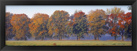 Framed Trees in a garden, South Bohemia, Czech Republic Print