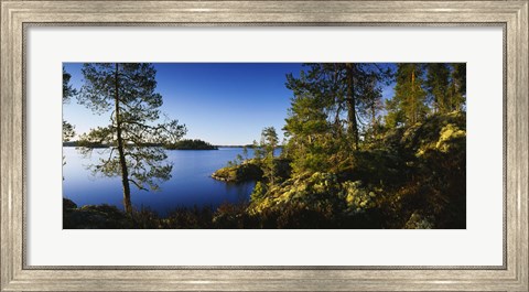 Framed Trees at the lakeside, Lake Saimaa, Puumala, Finland Print