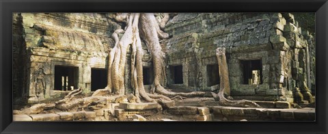 Framed Close up of Old ruins of a building, Angkor Wat, Cambodia Print