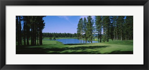 Framed Trees on a golf course, Edgewood Tahoe Golf Course, Stateline, Nevada, USA Print