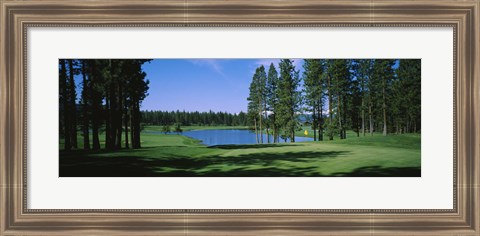 Framed Trees on a golf course, Edgewood Tahoe Golf Course, Stateline, Nevada, USA Print